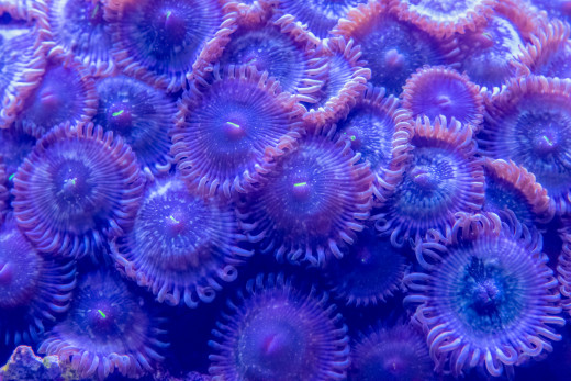 �1763803 �������(a): ����������:1920x1280